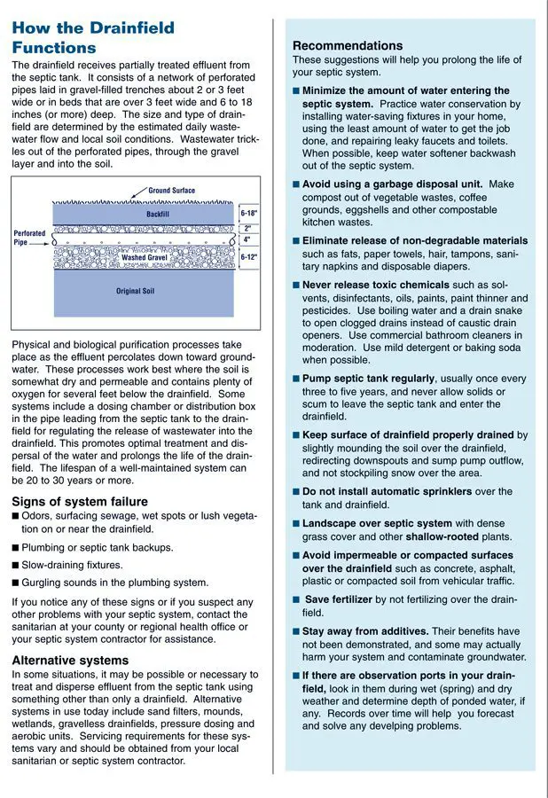 A detailed guide on how to write an effective report with examples and tips.