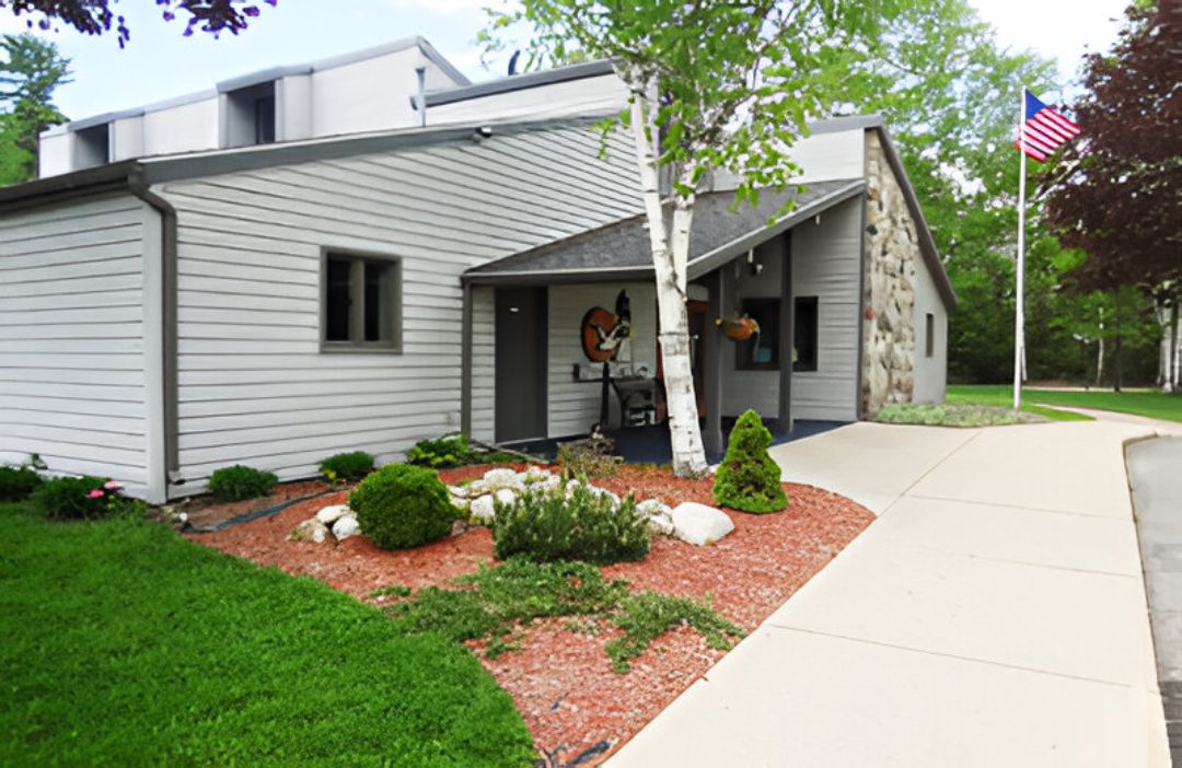 Modern house entrance with a welcoming walkway and landscaped garden.